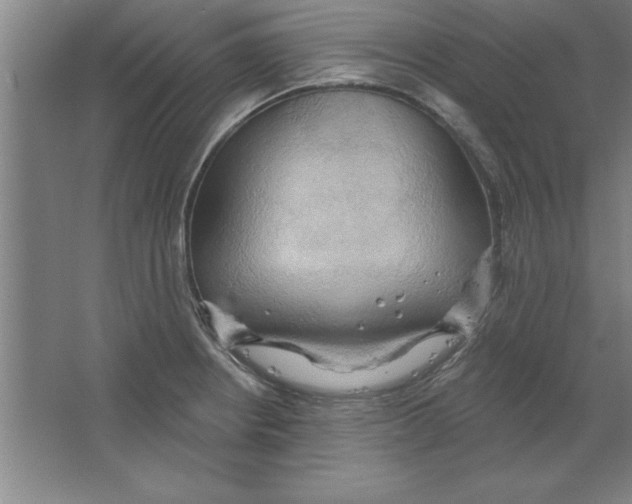 X0000067471234200604281846