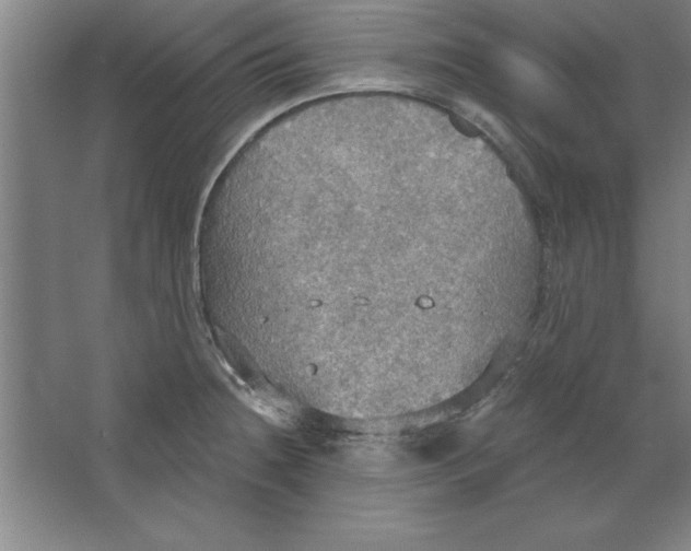 X0000067471236200604281846