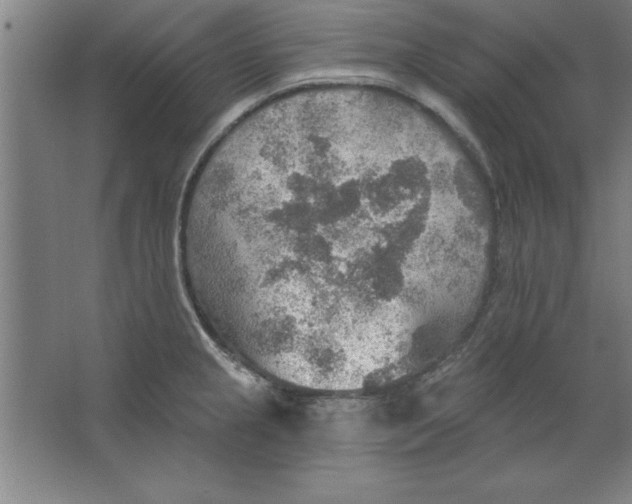 X0000067471237200604281846