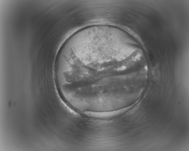 X0000067471239200604281846