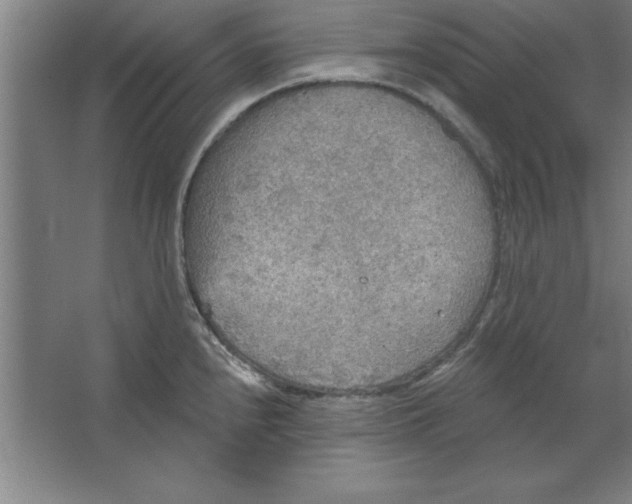 X0000067471240200604281846