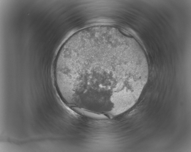 X0000067471243200604281846