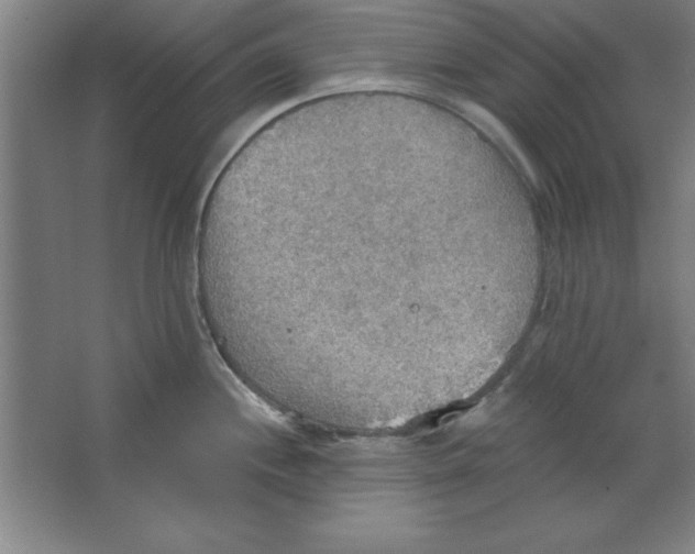 X0000067471244200604281846