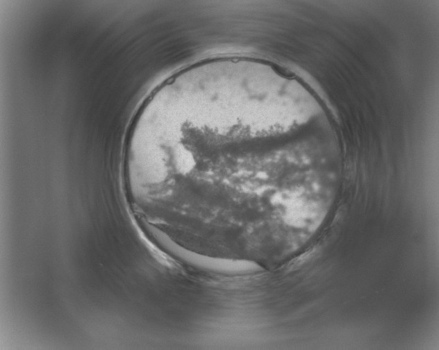 X0000067471245200604281846