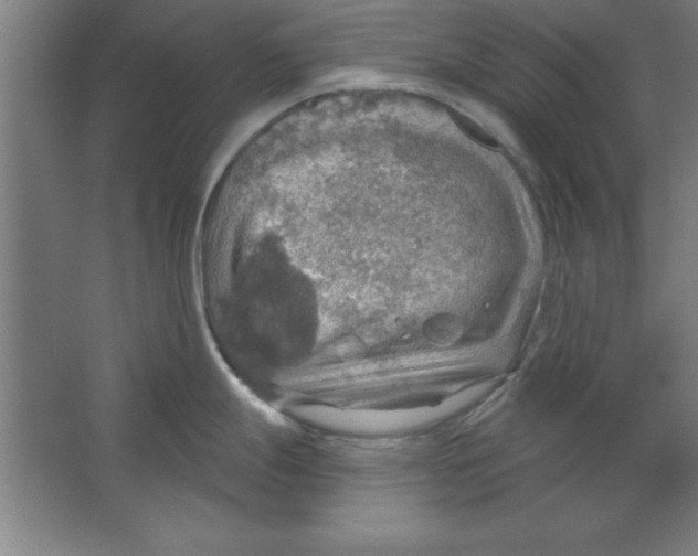 X0000067471247200604281846