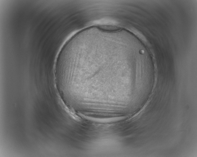 X0000067471248200604281846