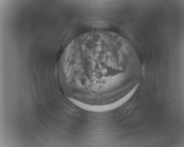 X0000067471251200604281845