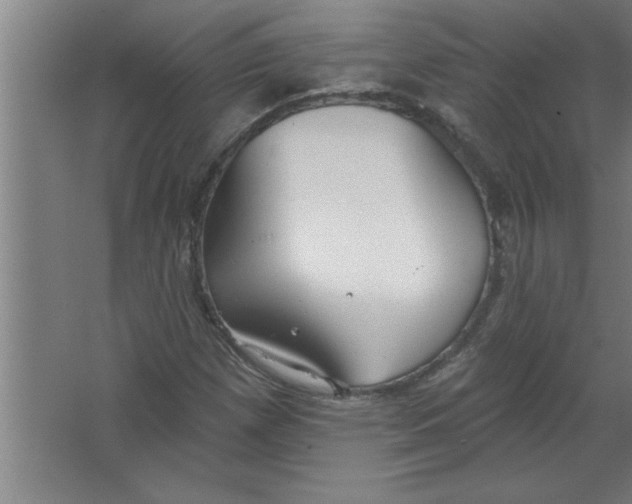 X0000067471257200604281845