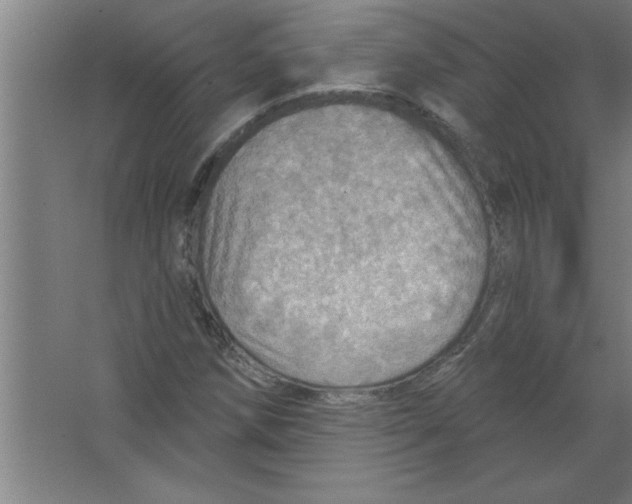 X0000067471258200604281845