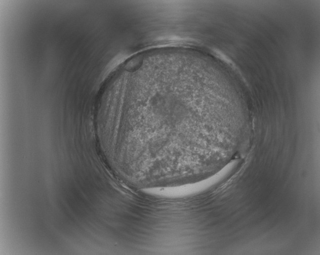 X0000067471259200604281845