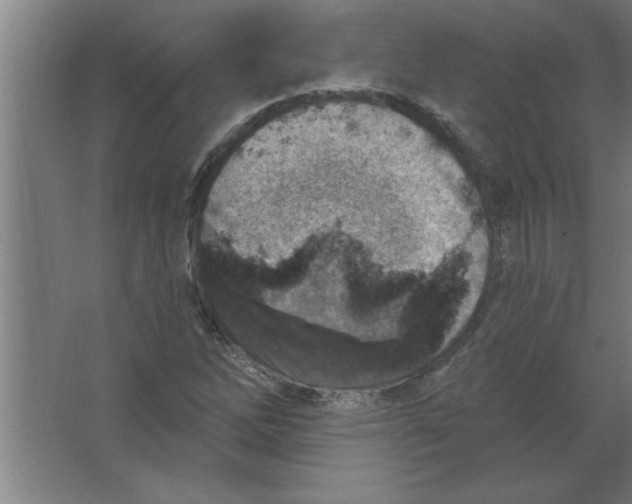 X0000067471262200604281845