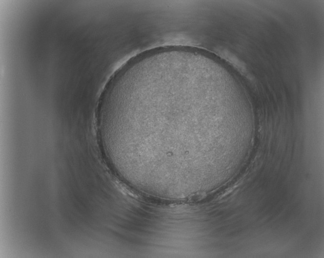 X0000067471264200604281845