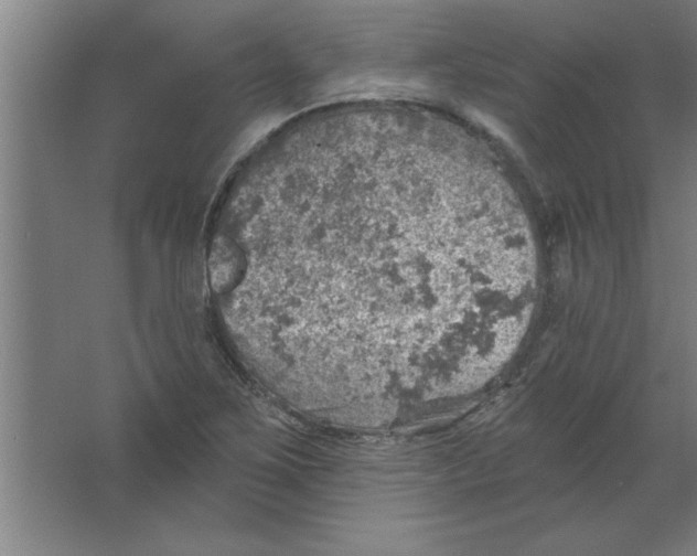 X0000067471267200604281845