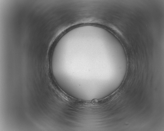 X0000067471270200604281845