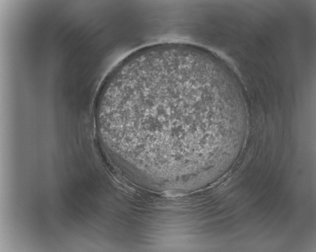 X0000067471271200604281845