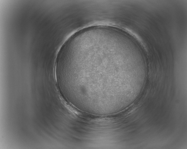 X0000067471272200604281845