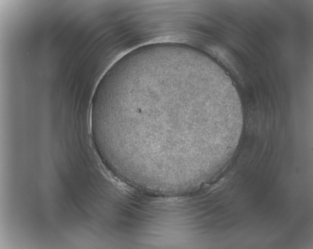 X0000067471276200604281845