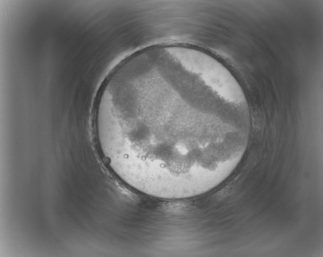 X0000067471278200604281844