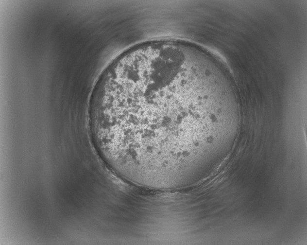 X0000067471279200604281844