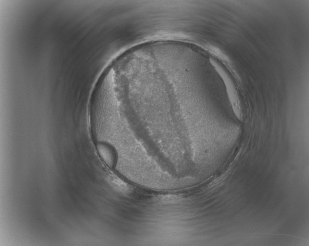 X0000067471280200604281844