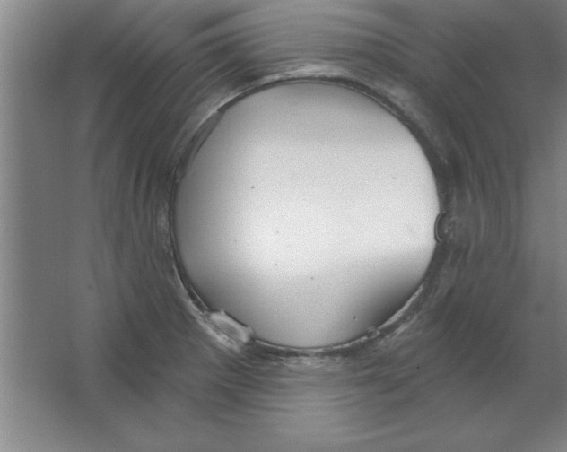 X0000067471281200604281844