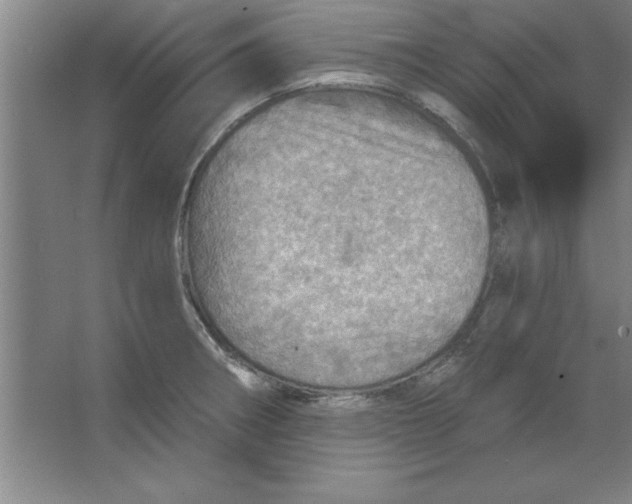 X0000067471282200604281844