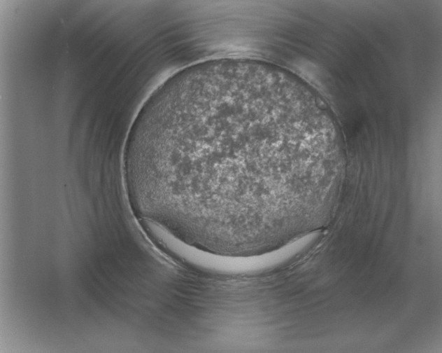 X0000067471283200604281844