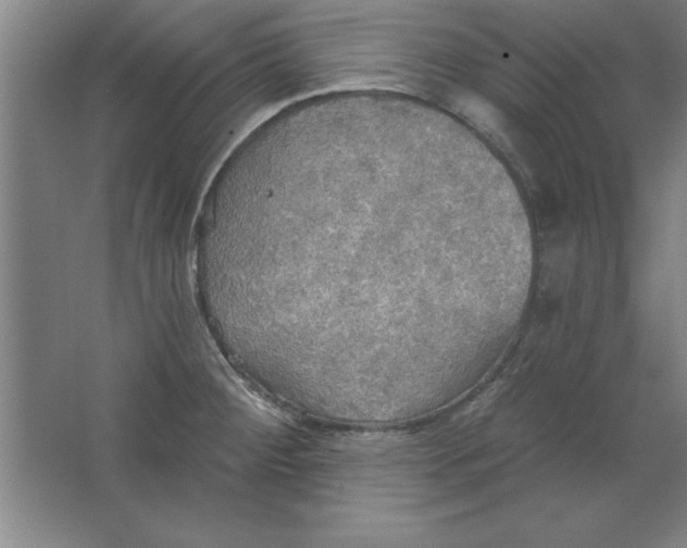 X0000067471284200604281844