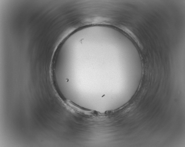 X0000067471285200604281844