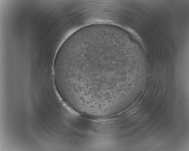 X0000067471287200604281844