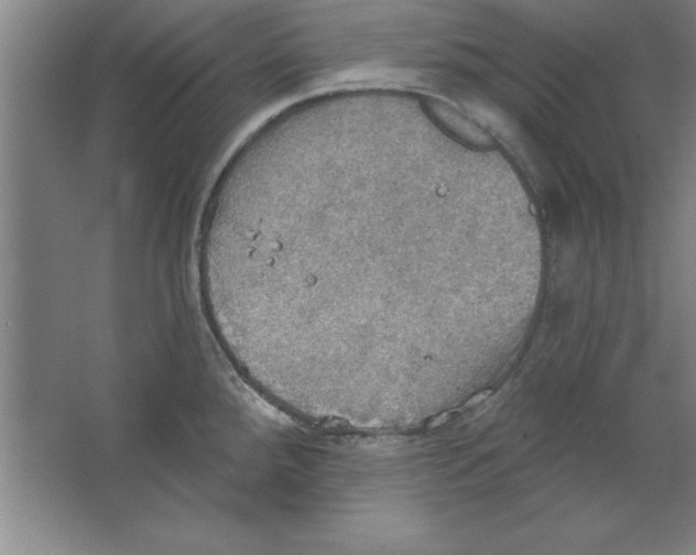 X0000067471288200604281844