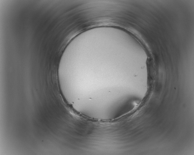 X0000067471289200604281844