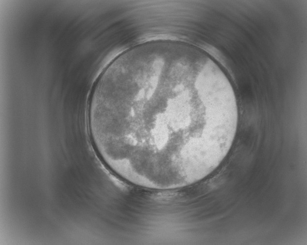 X0000067471290200604281844