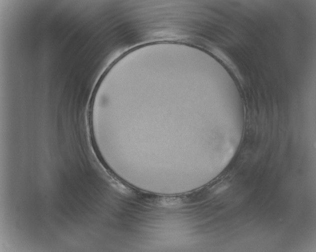 X0000067471291200604281844