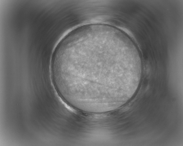 X0000067471294200604281844