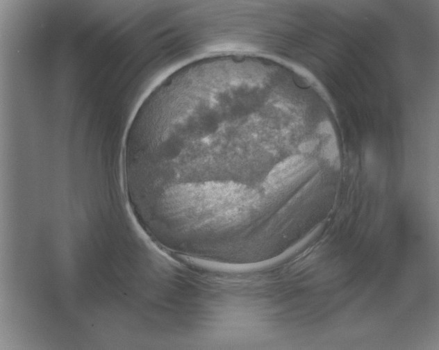 X0000067471295200604281844