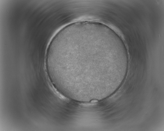 X0000067471296200604281844