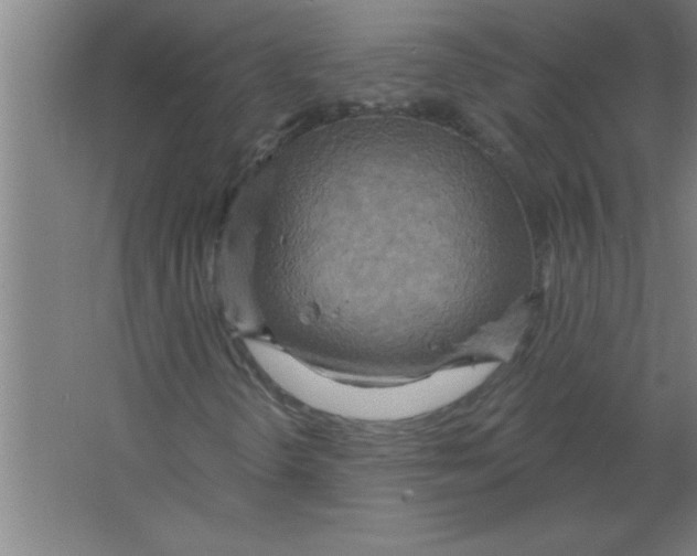 X0000067471298200604281843