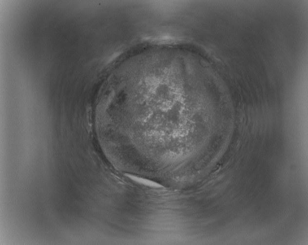 X0000067471301200604281843