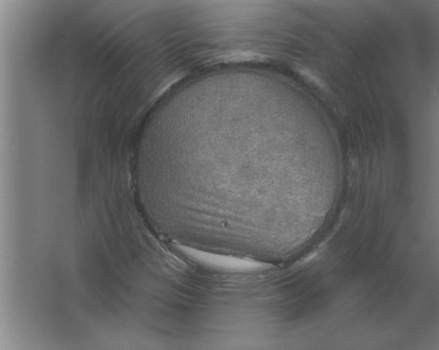 X0000067471305200604281844