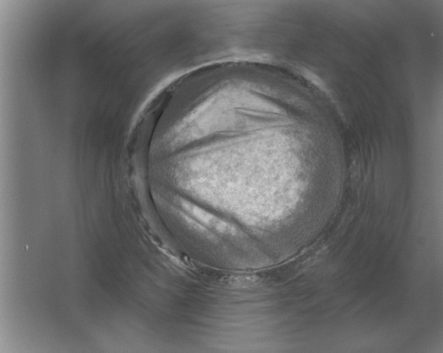 X0000067471310200604281844