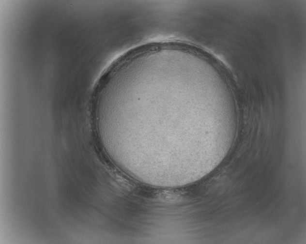 X0000067471311200604281844