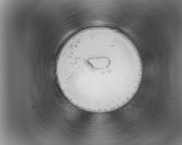 X0000067471314200604281844