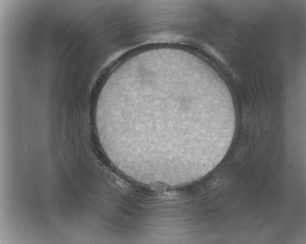 X0000067471315200604281844