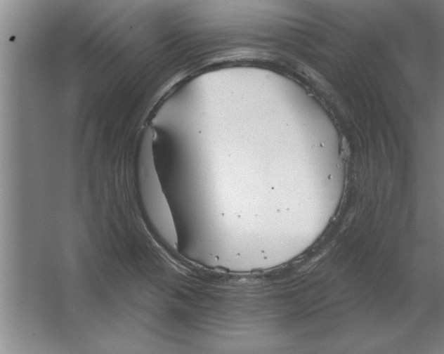 X0000067471321200604281844