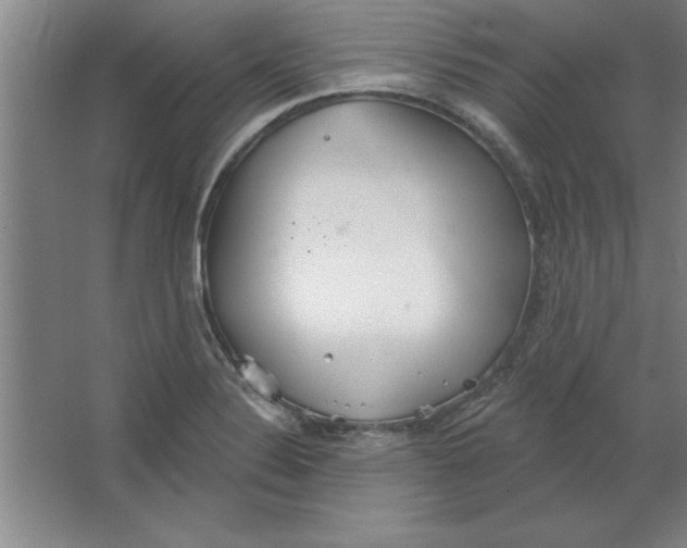 X0000067471324200604281844