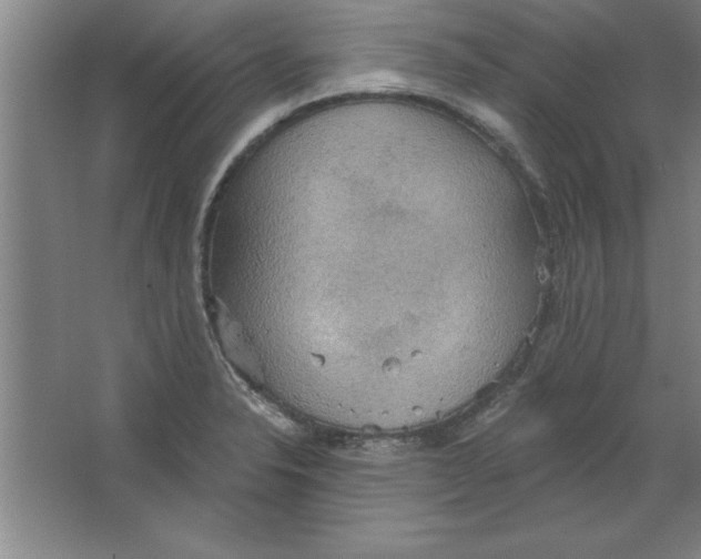 X0000067471326200604281844