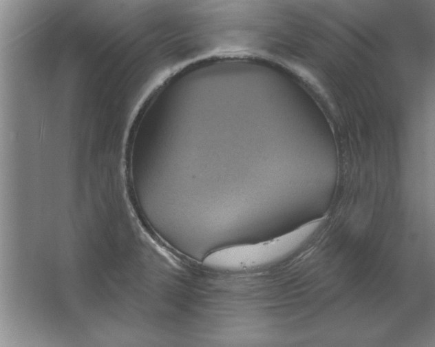 X0000067471327200604281844