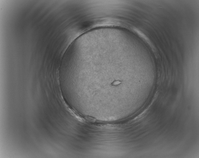 X0000067471329200604281844