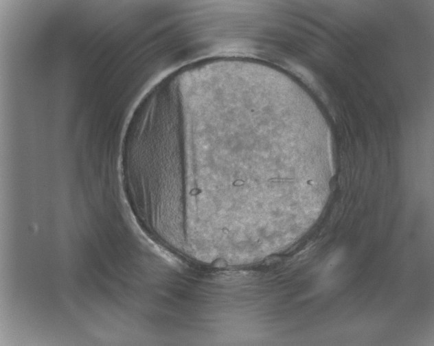 X0000067471331200604281844